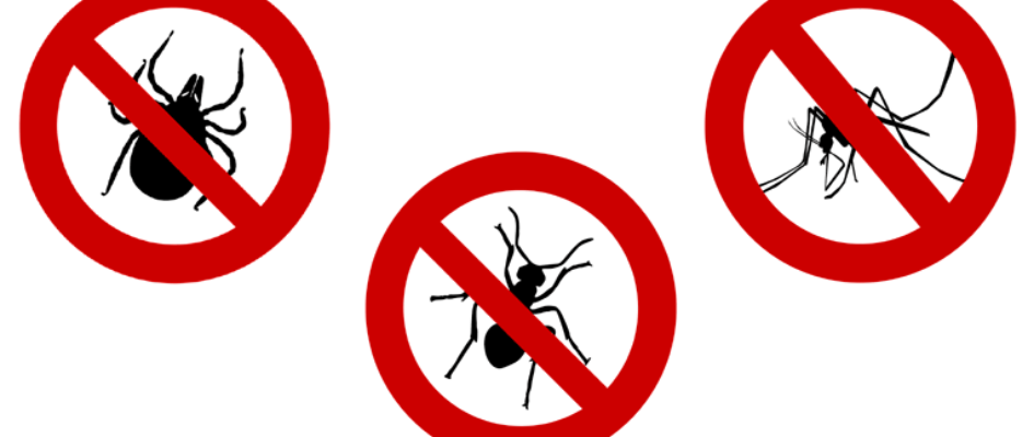 desinsectacion-para-controlar-las-plagas-de-insectos