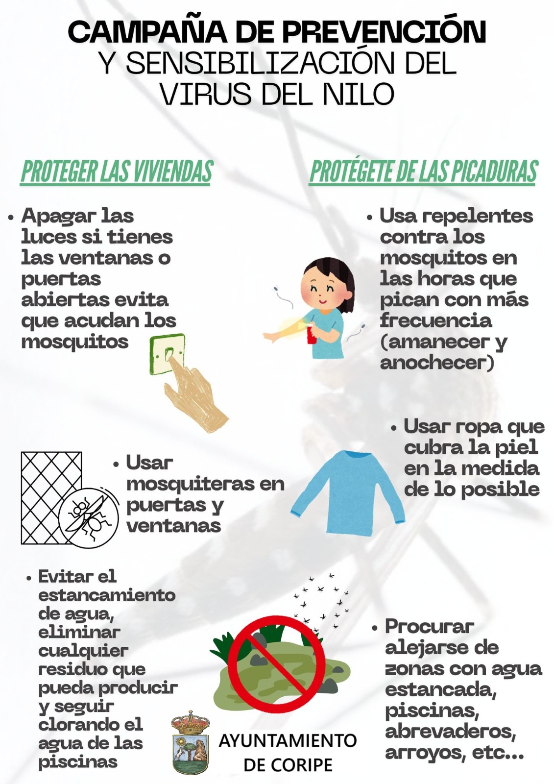 WhatsApp Image 2025-06-09 at 12.50.08