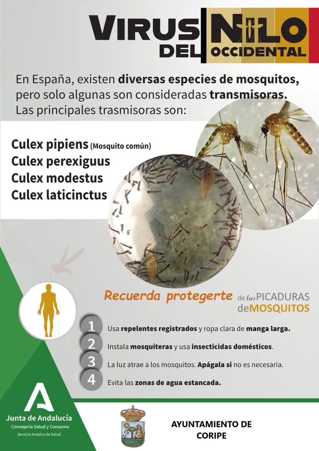 WhatsApp Image 2025-06-09 at 12.50.26