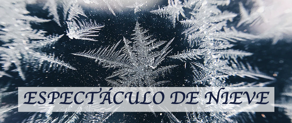 Screenshot 2023-12-01 at 16.18.53