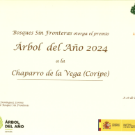 Screenshot 2024-03-04 at 13.15.28