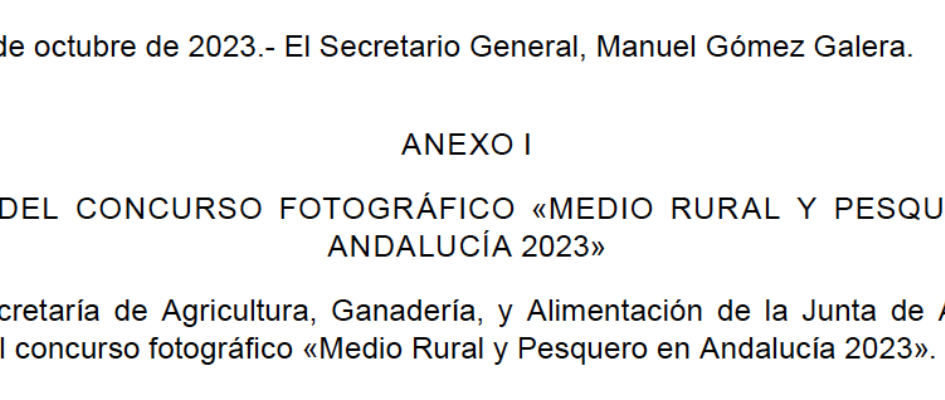 Screenshot 2023-10-10 at 09.23.48